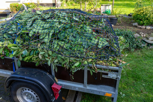 Best Junk Removal for Events  in Shrewsbury, MO